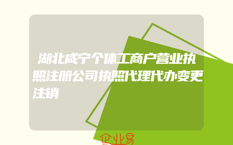 湖北咸宁个体工商户营业执照注册公司执照代理代办变更注销
