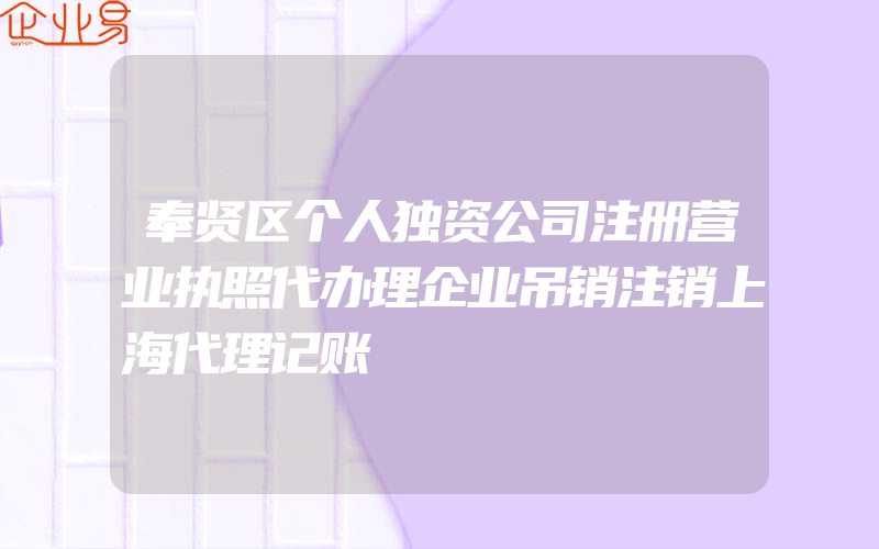 奉贤区个人独资公司注册营业执照代办理企业吊销注销上海代理记账