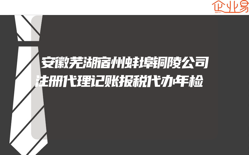 安徽芜湖宿州蚌埠铜陵公司注册代理记账报税代办年检
